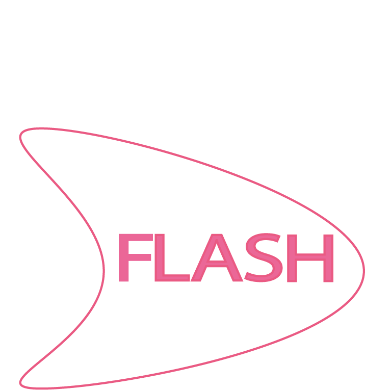 flash Logotipo